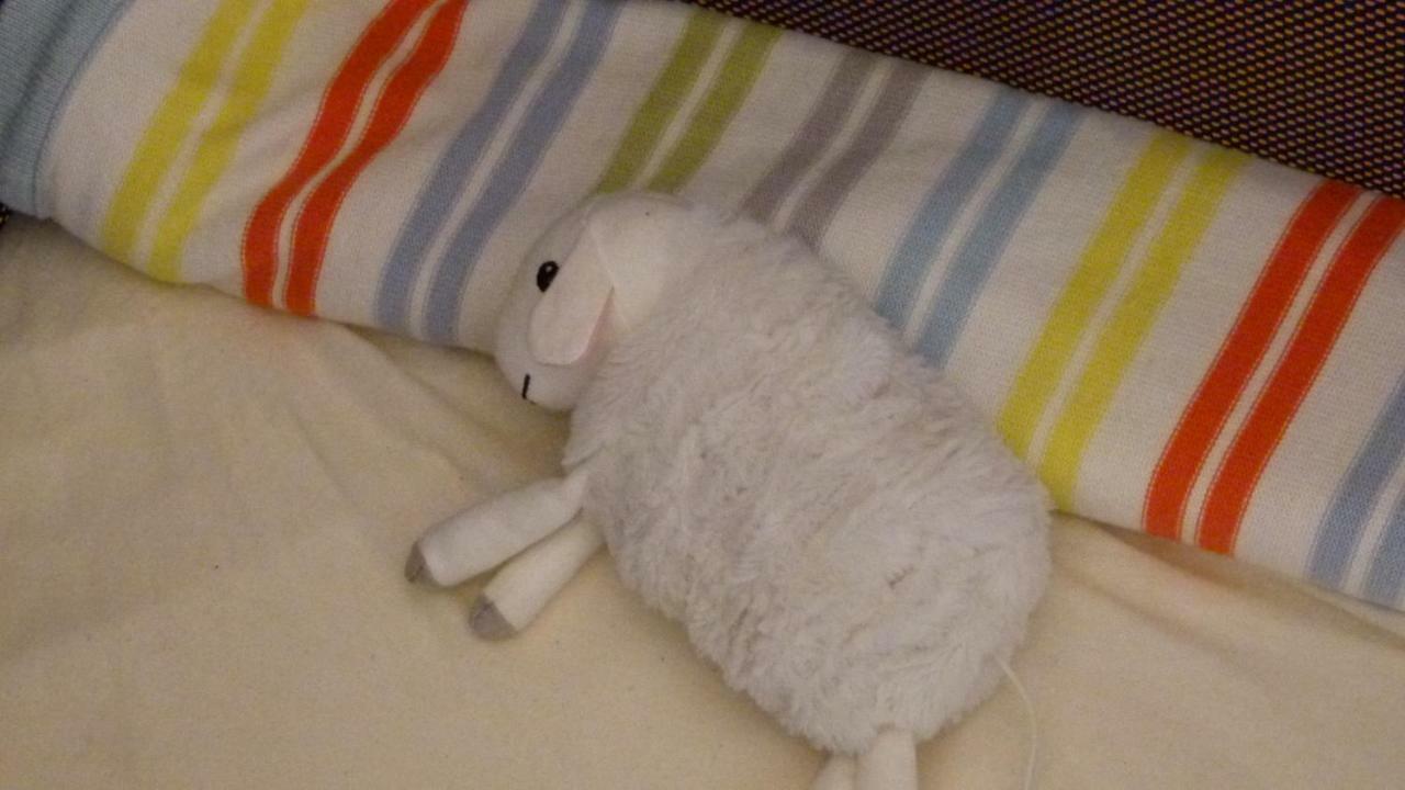 אוברלינגן Ferienwohnung Bodensee מראה חיצוני תמונה